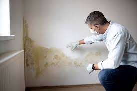 Best Commercial Mold Inspection  in Perryopolis, PA